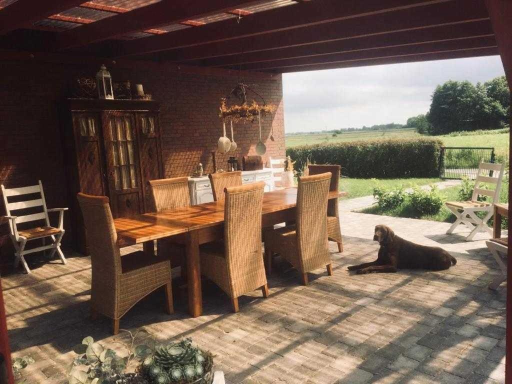 Higgen Adamla Apartment Stedesdorf Bagian luar foto