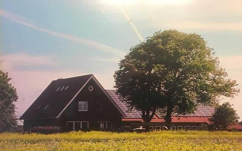 Higgen Adamla Apartment Stedesdorf Bagian luar foto